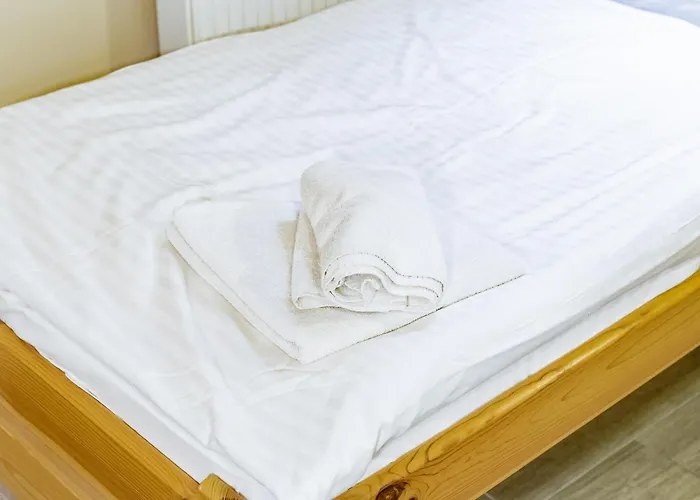 特鲁斯酒店 酒店